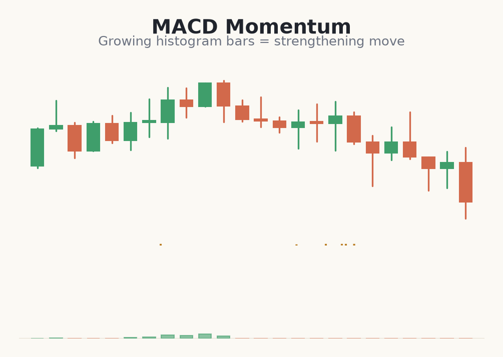 Growing MACD histogram bars showing momentum