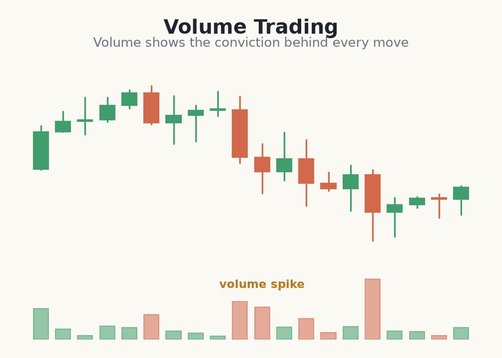 Candles with a volume panel showing a volume spike