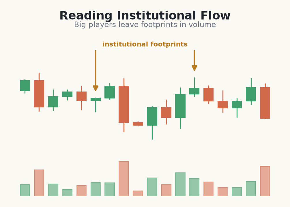 Volume footprints left by large institutional orders
